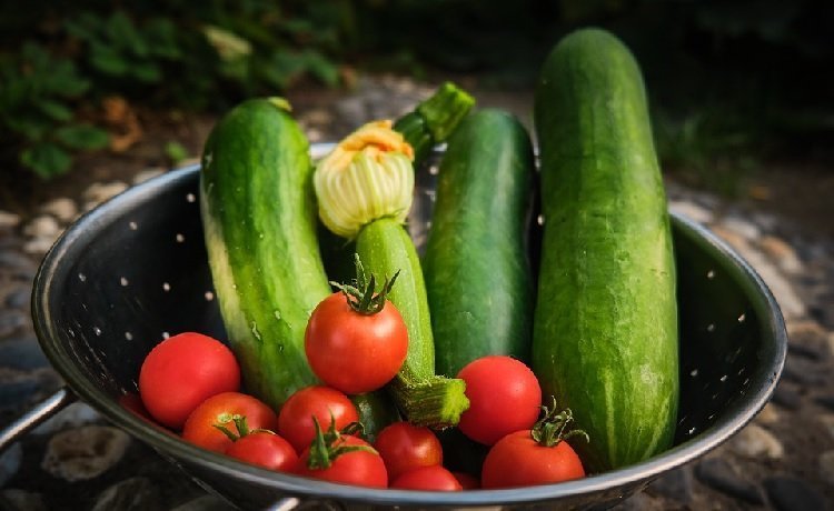 Cucumber and Tomato diet