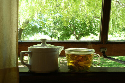 birch tea - medicinal properties and recipes