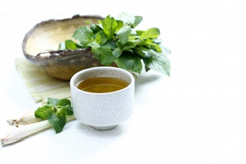 mistletoe tea - medicinal properties and recipe