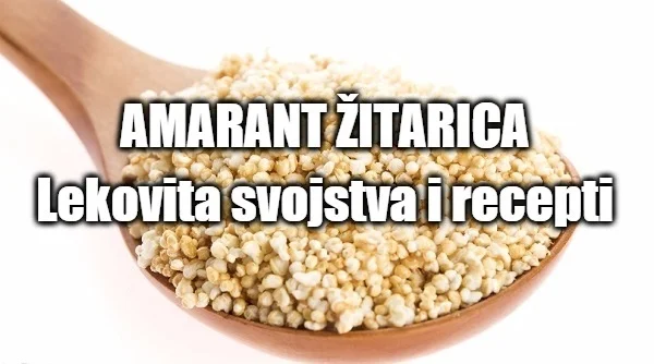 Amaranth cereal - medicinal properties and recipe